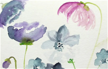 CAN-NC: Flowers in Watercolor With Vanita Bailey 
