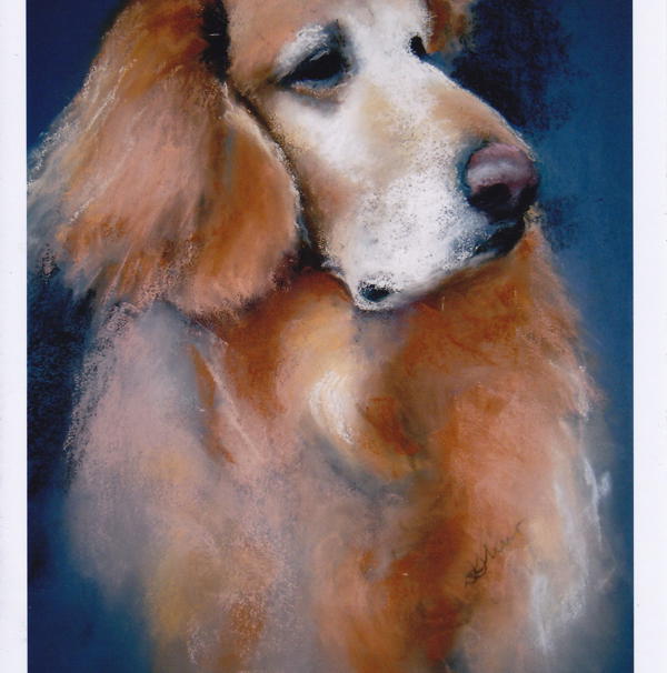 Pet Portraits in Pastels with Diane Shur!